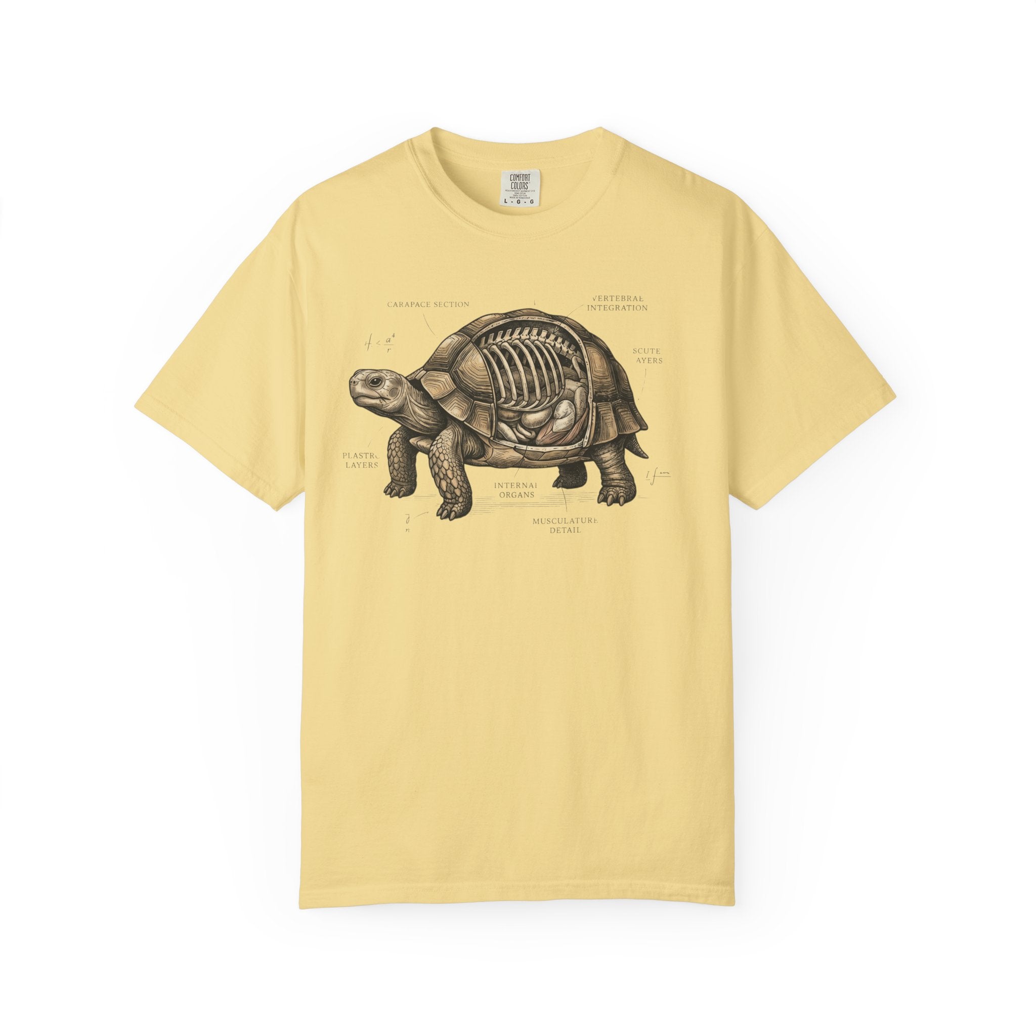 Anatomical Tortoise T-Shirt
