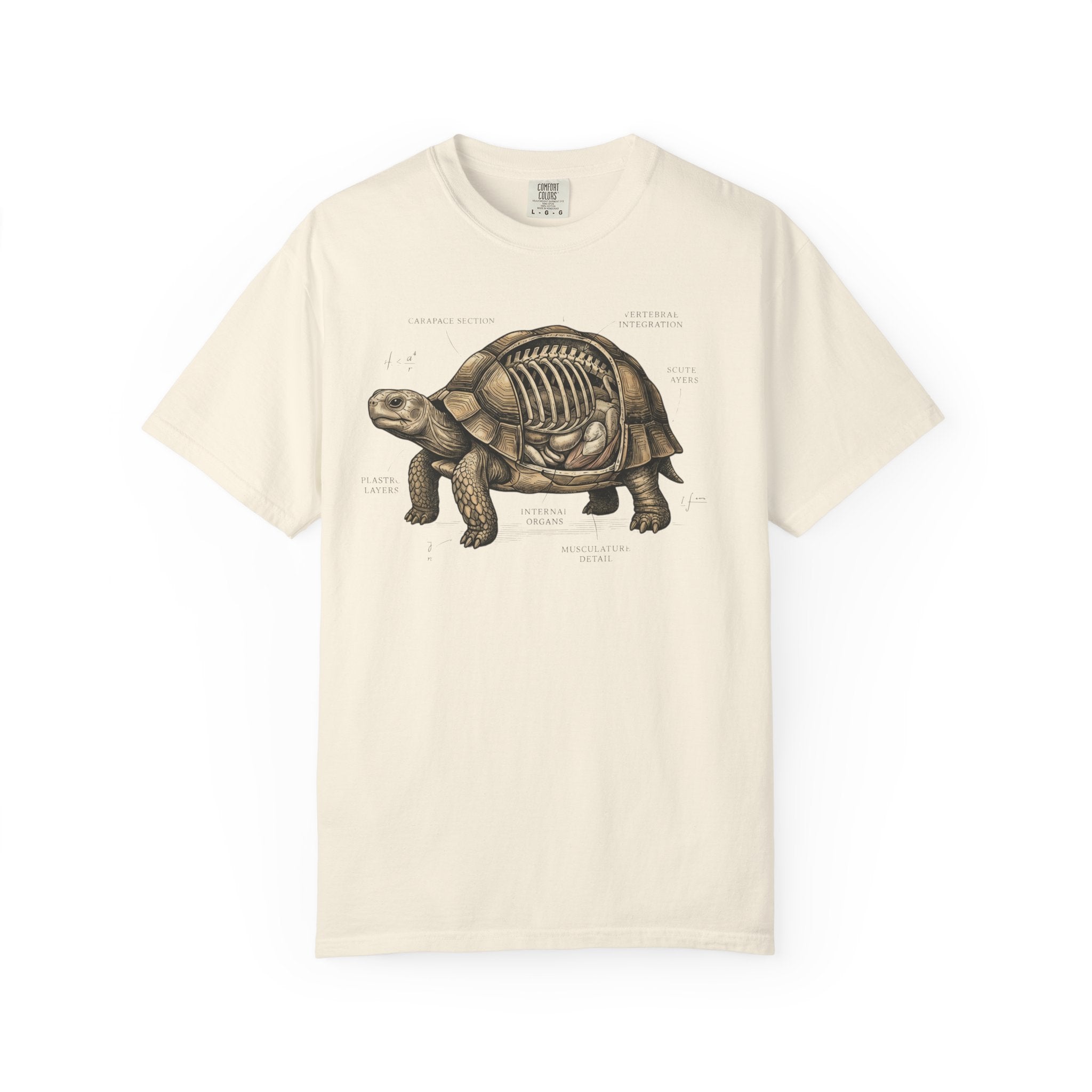Anatomical Tortoise T-Shirt