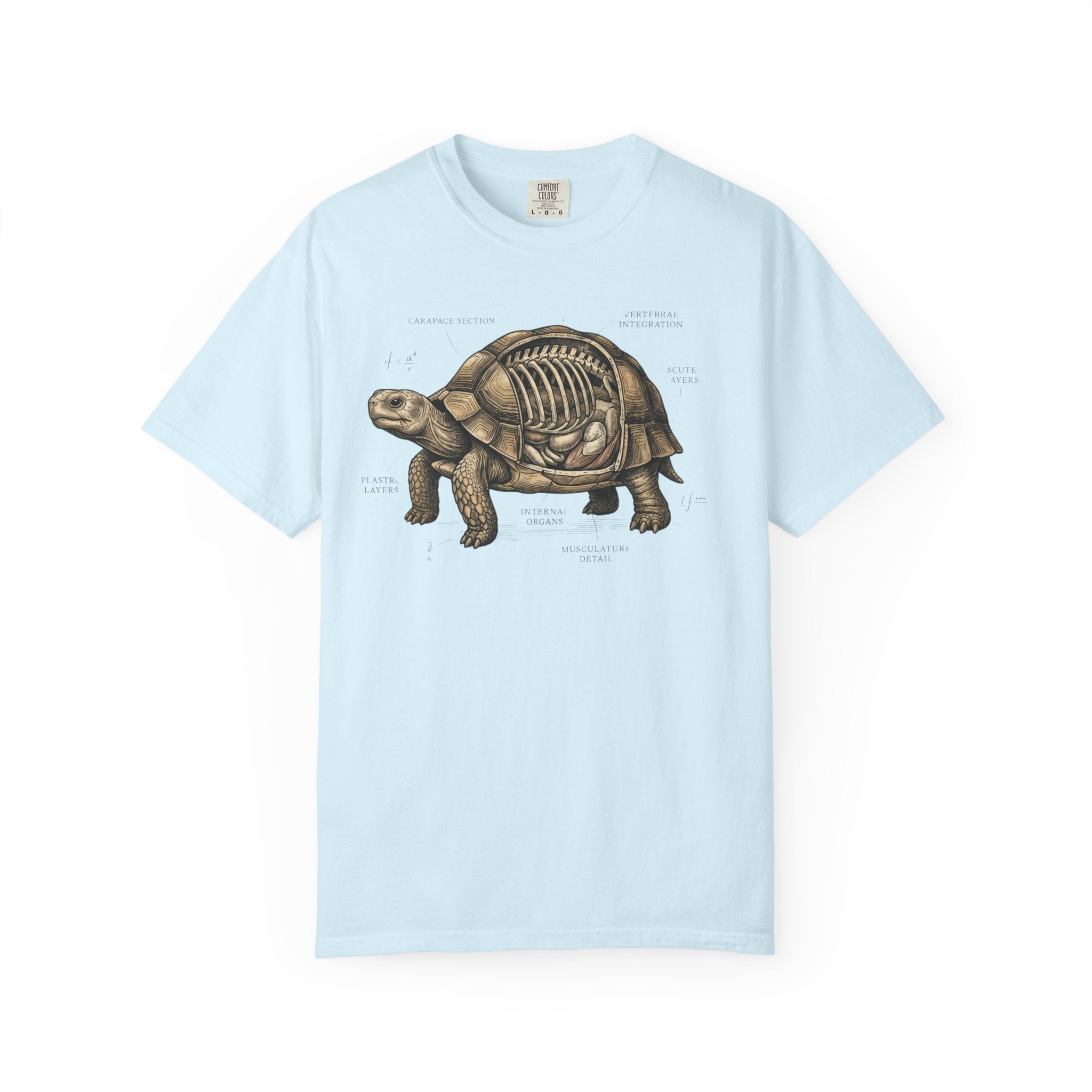 Anatomical Tortoise T-Shirt
