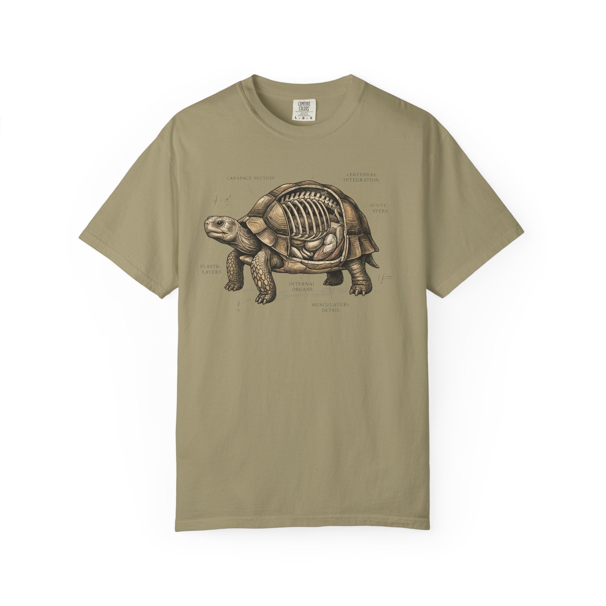 Anatomical Tortoise T-Shirt
