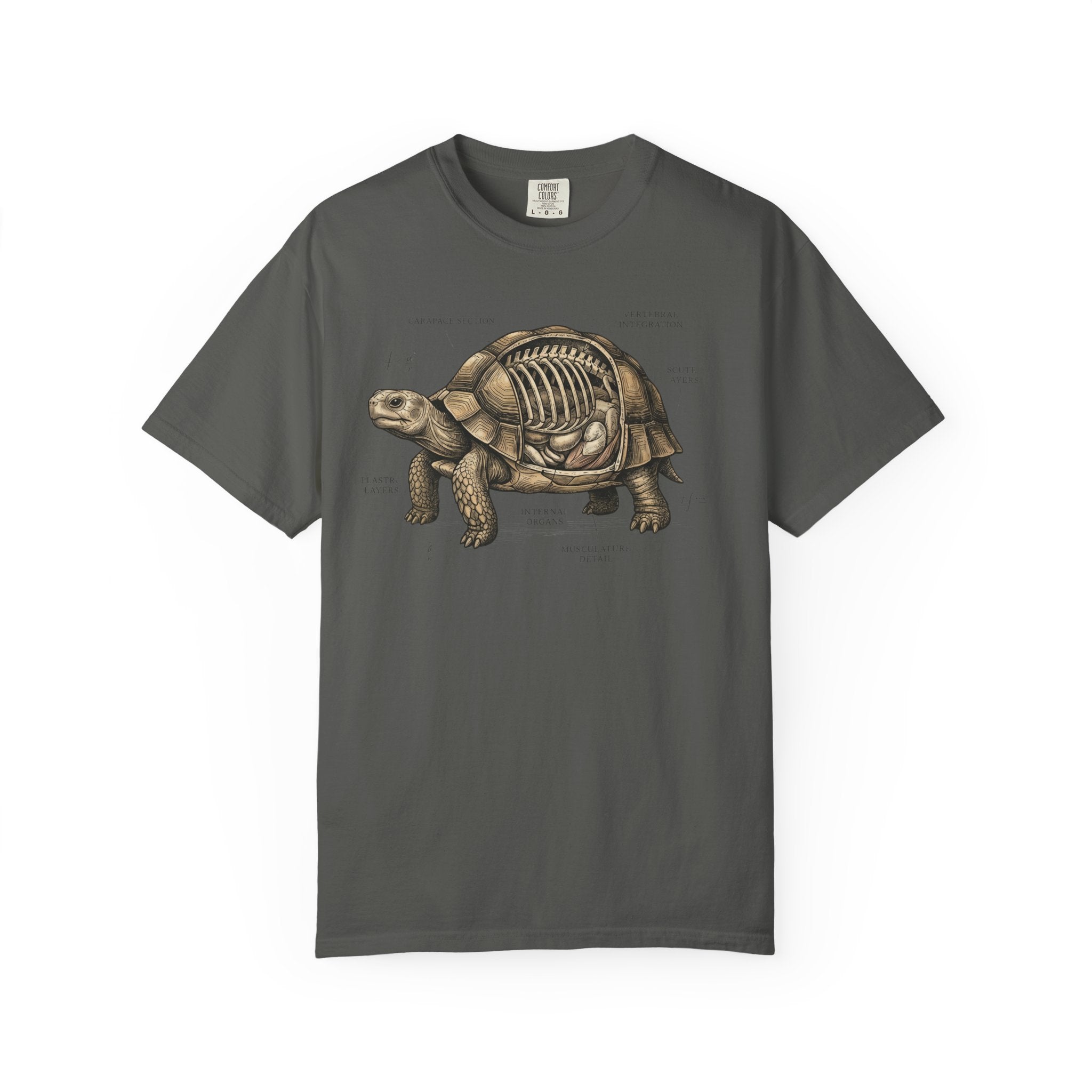 Anatomical Tortoise T-Shirt