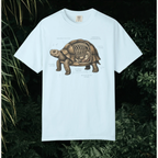 Anatomical Tortoise T-Shirt