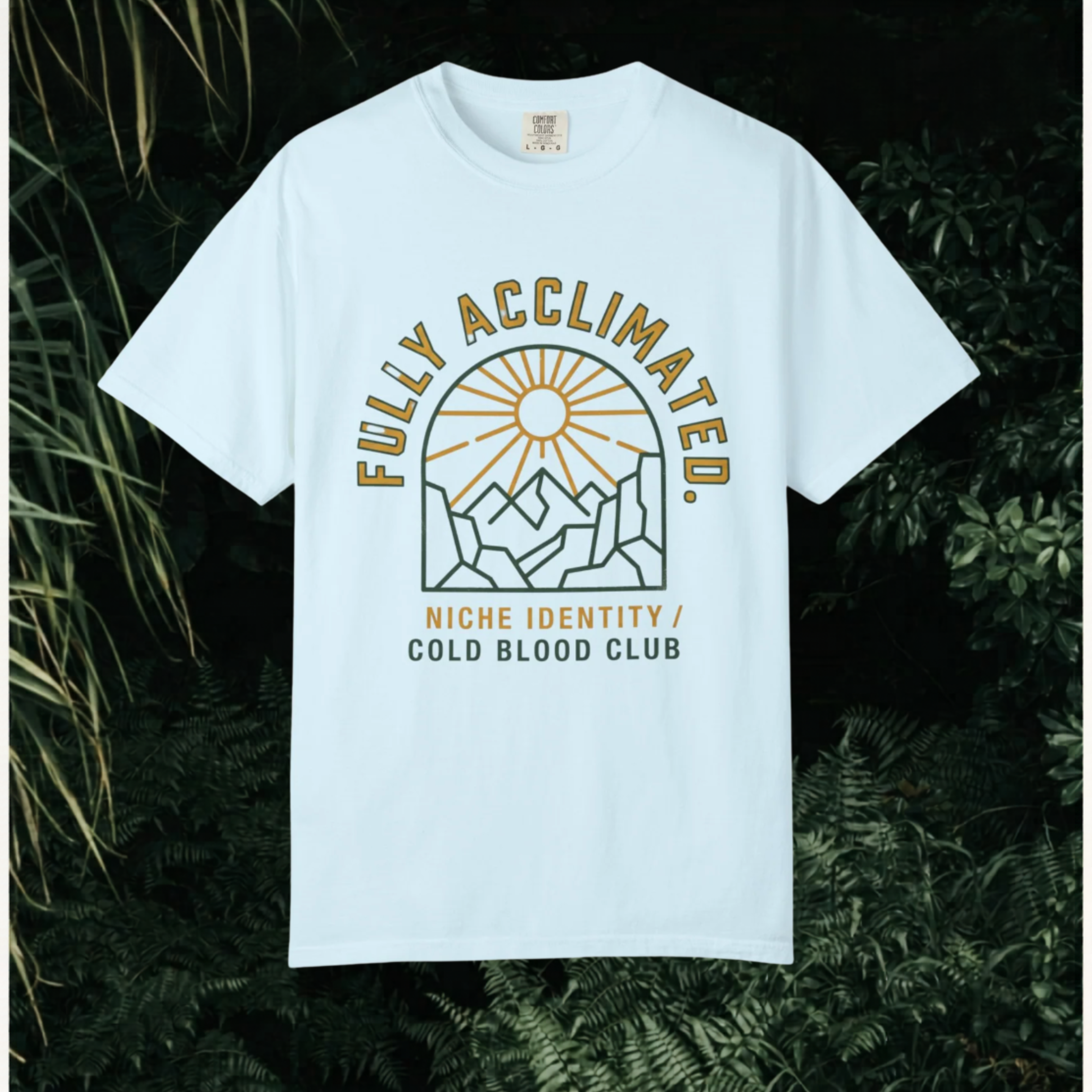 Acclimated Mountain T-Shirt