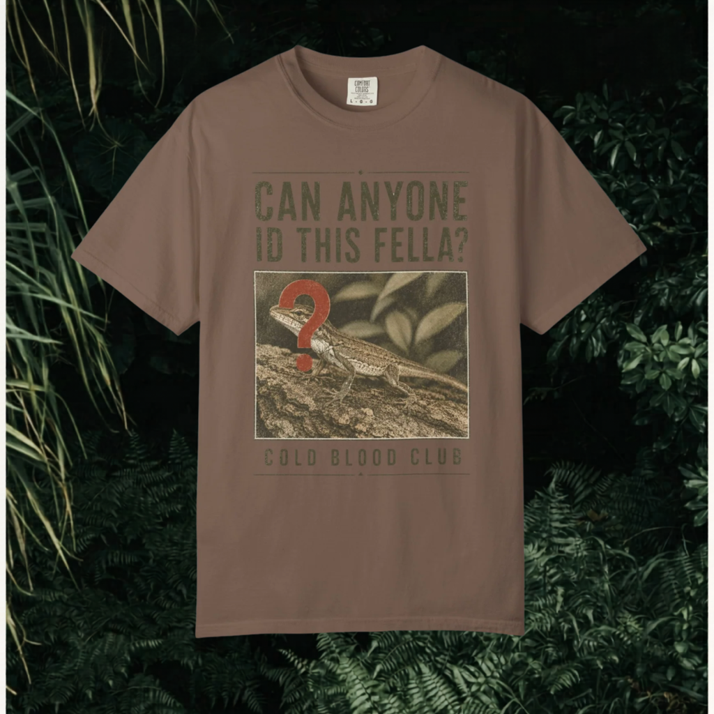 Can Anyone I.D. This Fella T-Shirt