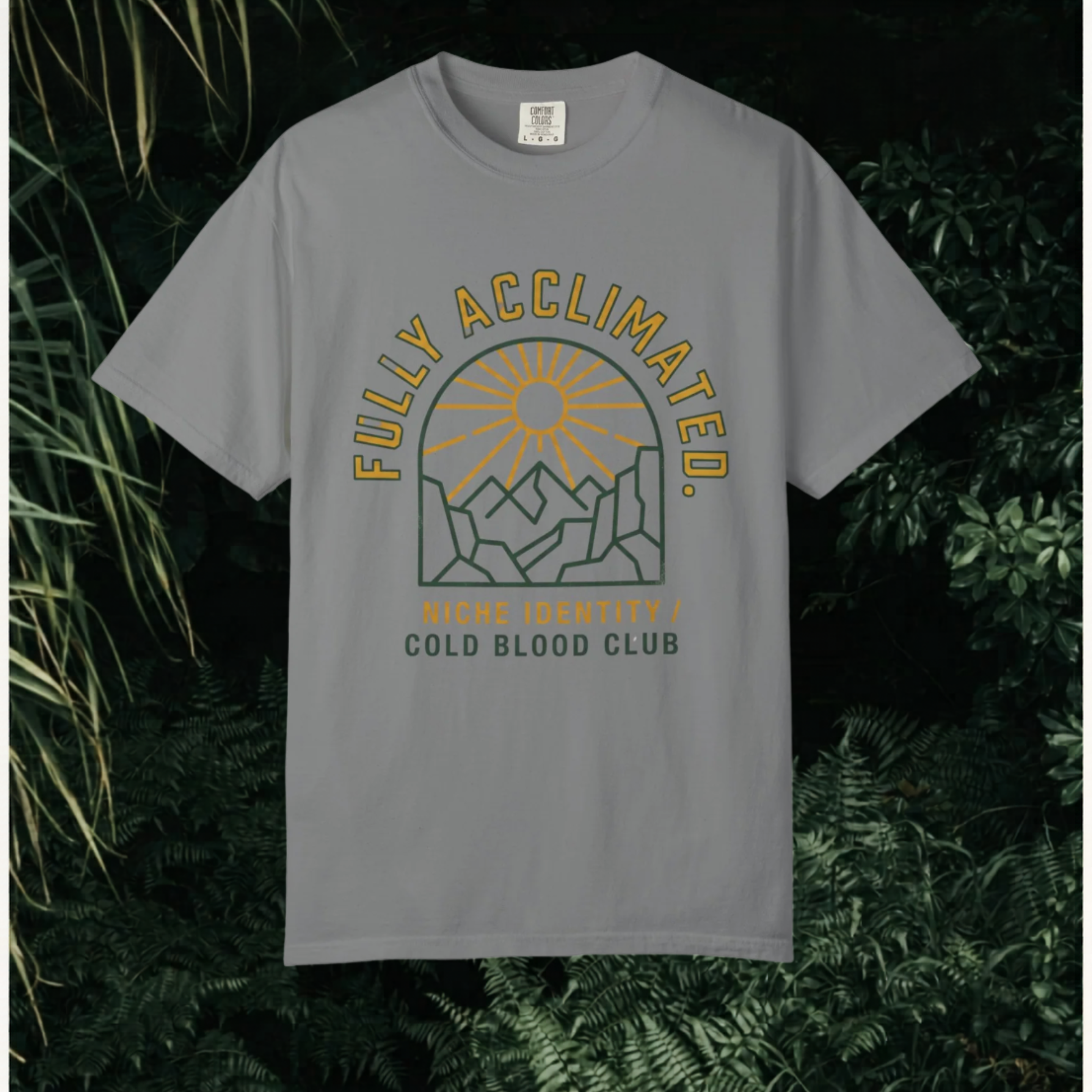 Acclimated Mountain T-Shirt