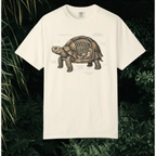 Anatomical Tortoise T-Shirt