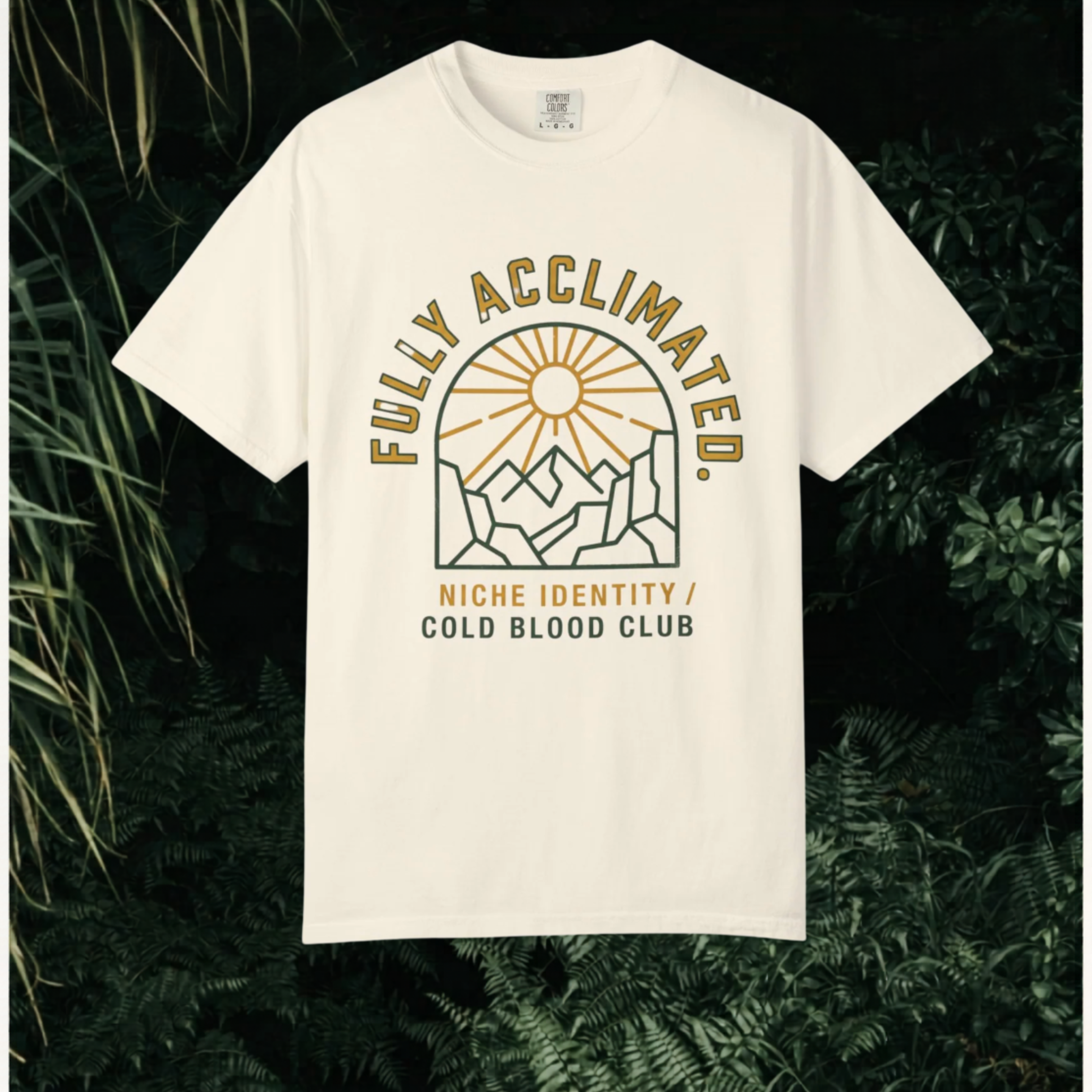 Acclimated Mountain T-Shirt