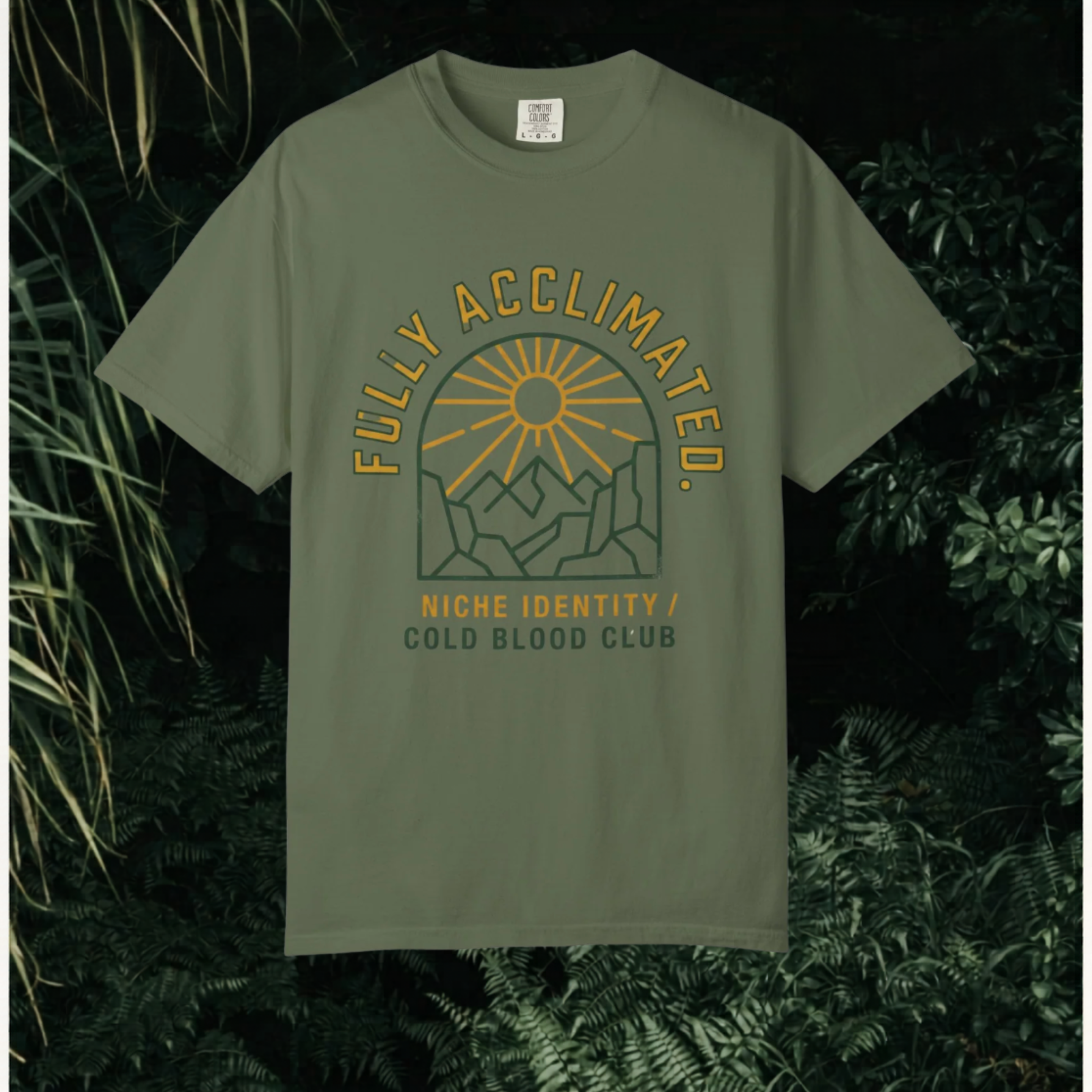 Acclimated Mountain T-Shirt